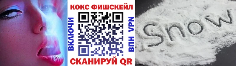 COCAIN Эквадор  MEGA как зайти  Дыгулыбгей  наркошоп 