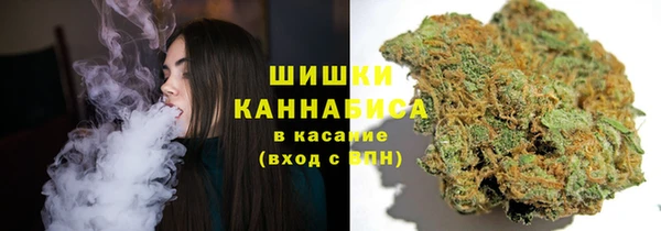 ешки Надым