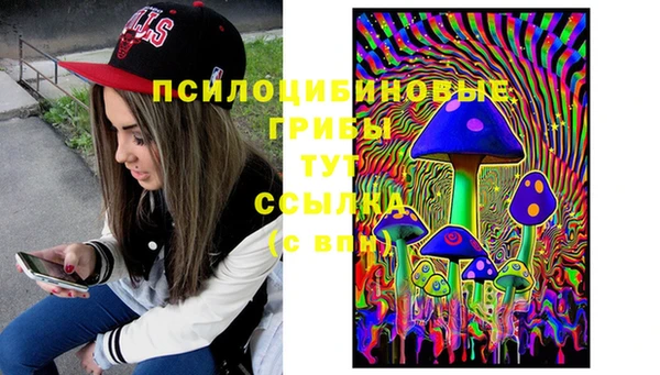 ешки Надым