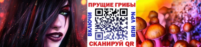 Галлюциногенные грибы Cubensis  закладка  Дыгулыбгей 